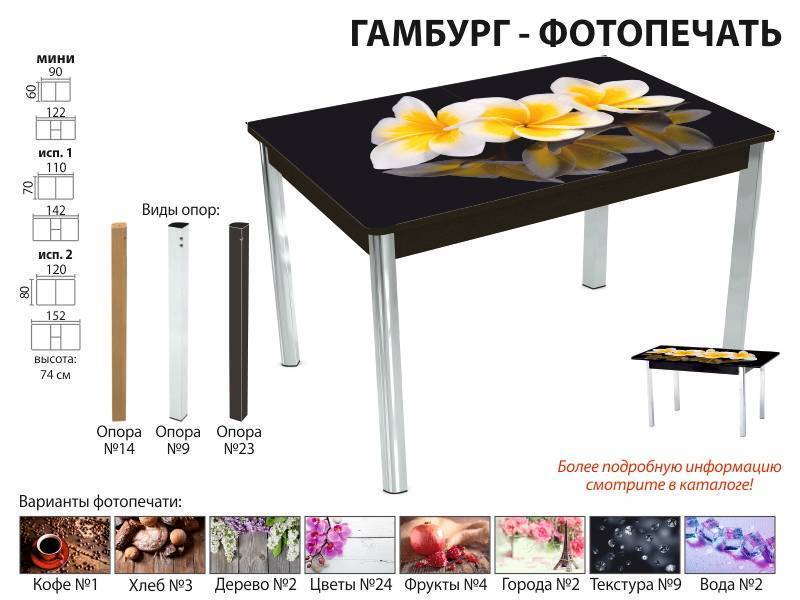 стол обеденный гамбург фотопечать в Саратове