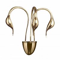 бра lightstar cigno collo 751632 в Саратове