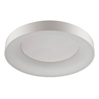 потолочный светодиодный светильник odeon light sole 4062/80cl в Саратове