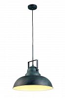 подвесной светильник arte lamp martin a5213sp-1bg в Саратове