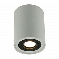 потолочный светильник arte lamp a5644pl-1wh в Саратове