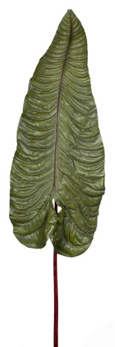 декор alocasia в Саратове
