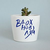 набор для выращивания eco мини-кашпо «вдохновляй» в Саратове