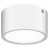 уличный светодиодный светильник lightstar zolla 380164 в Саратове
