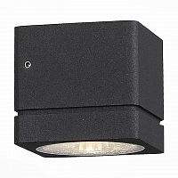 уличный настенный светодиодный светильник st luce coctobus sl563.401.01 в Саратове
