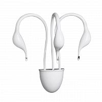 бра lightstar cigno collo wt 751636 в Саратове