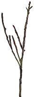декор dry branches в Саратове