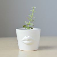 набор для выращивания eco мини-кашпо «губы» в Саратове