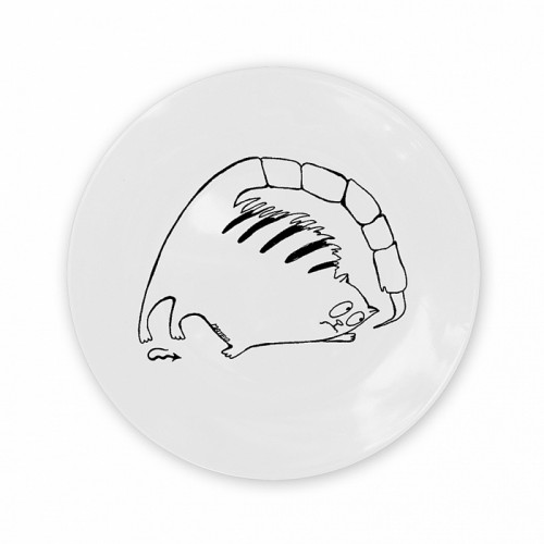 тарелка кот-скорпион в Саратове