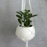 подвесное кашпо шар в Саратове