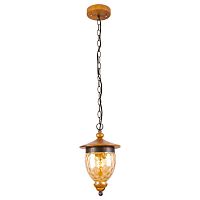 подвесной светильник arte lamp catena a6711sp-1br в Саратове