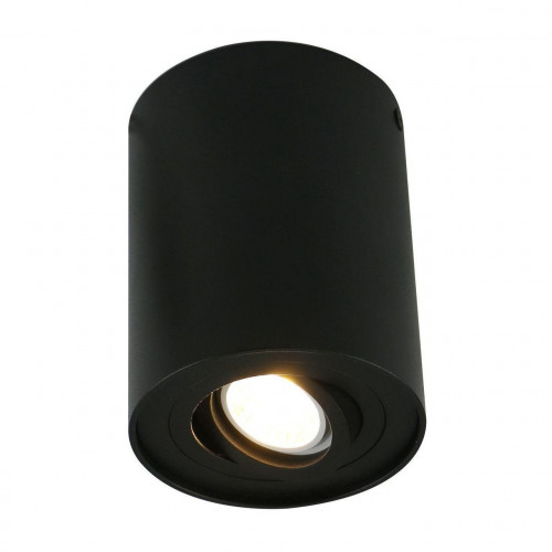 потолочный светильник arte lamp a5644pl-1bk в Саратове