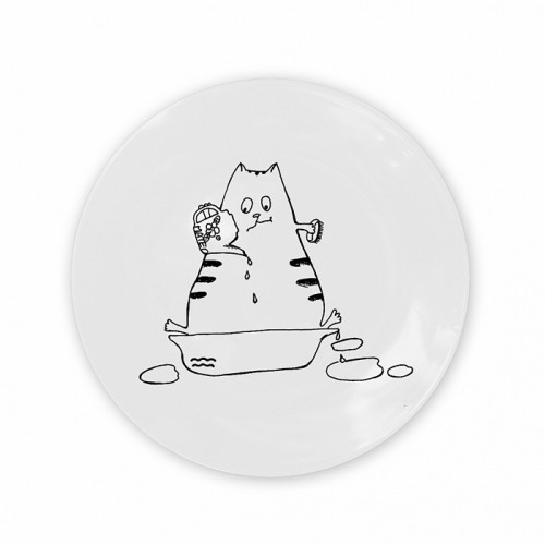 тарелка кот-водолей в Саратове
