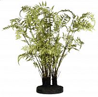декор ferns в Саратове