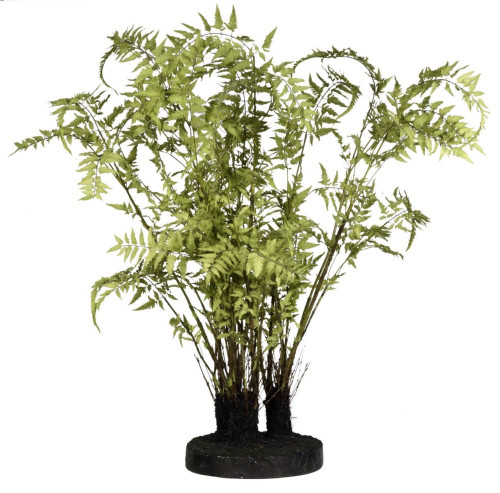декор ferns в Саратове