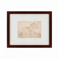 картина: a dog resting, 1520 в Саратове