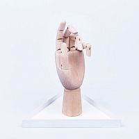 органайзер для украшений the hand белый в Саратове