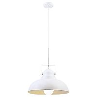 подвесной светильник arte lamp martin a5213sp-1wg в Саратове