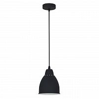 подвесной светильник arte lamp braccio a2054sp-1bk в Саратове