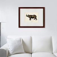 картина: rhinoceros ancienne gravure, 1849 в Саратове