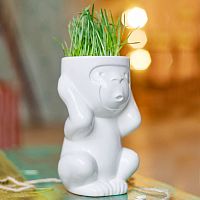 горшок для растений eco игнорик в Саратове