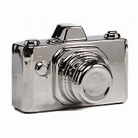 предмет декора camera серебряная в Саратове