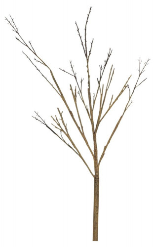 декор twig stem в Саратове
