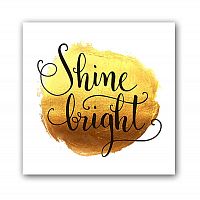 постер shine а3 в Саратове