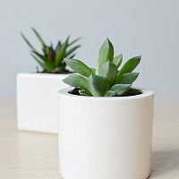 подвесное кашпо цилиндр в Саратове