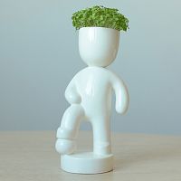 набор для выращивания eco футболист в Саратове