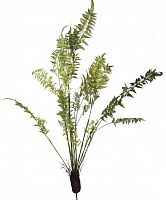 декор fern plant в Саратове