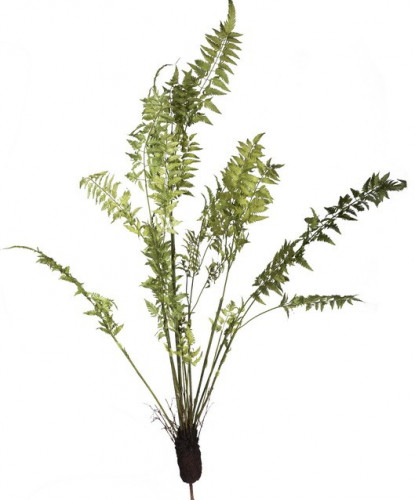 декор fern plant в Саратове
