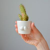 набор для выращивания eco мини-кашпо «усы» в Саратове