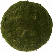 декор moss sun в Саратове
