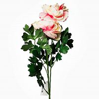 пион розовый 62 см (12) в Саратове