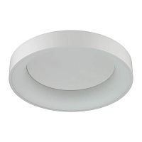 потолочный светодиодный светильник odeon light sole 4062/50cl в Саратове