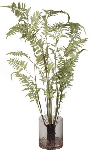 декор fern в Саратове