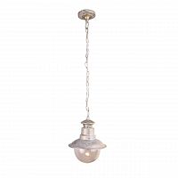 уличный подвесной светильник arte lamp amsterdam a1523so-1wg в Саратове